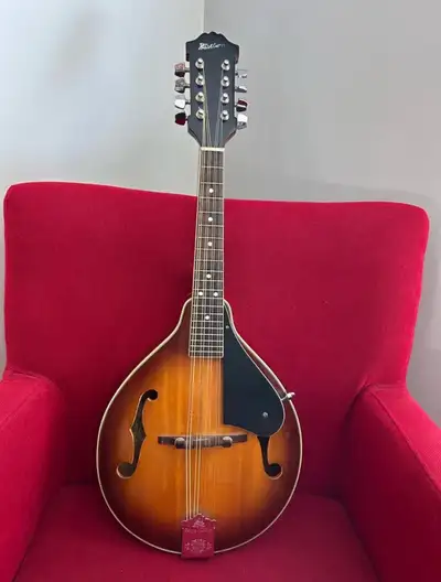 Washburn A-Style Mandolin with Gig Bag, View more
