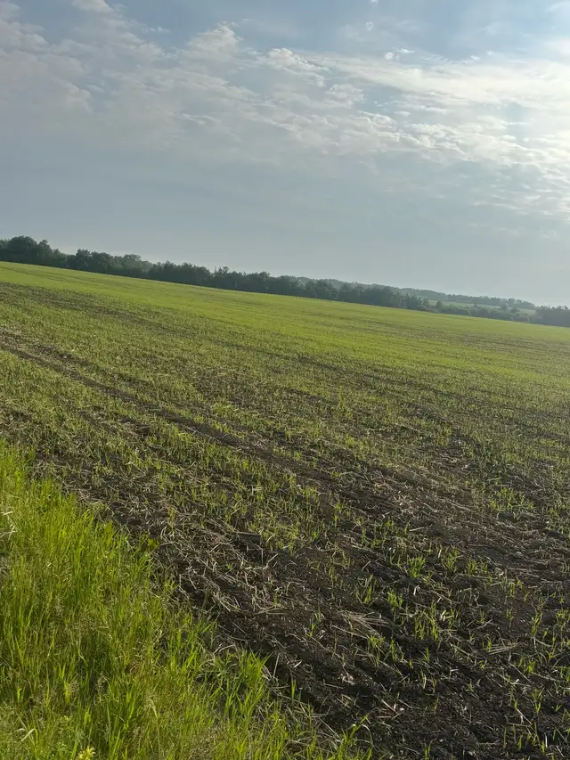 looking for land to rent