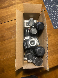 Box of camera bodies and lenses: $125 or best offer