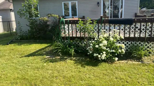 grass cutting and lawn care545241978153226243