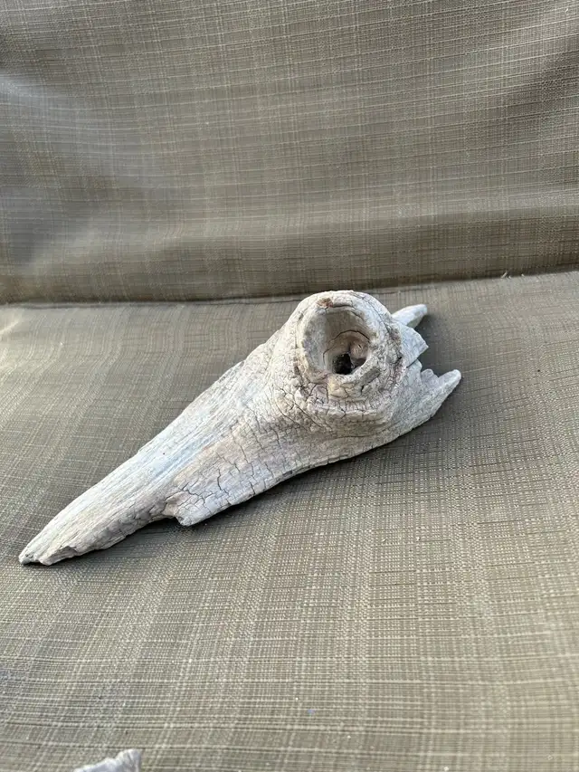 DRIFTWOOD 64519992410883124