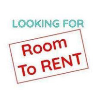 Room for rent needed/bachelor/1 bed