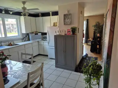 Appartement 4 1/2 disponible le 1er juillet au 1707 rue Lavoisier Lévis G6W2H9