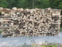 Maple firewood 