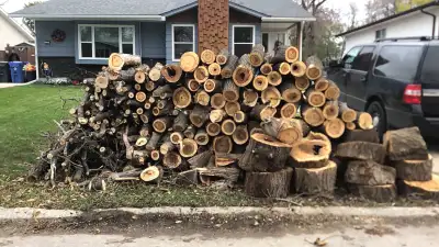 Free Wood - 99 Stradford, View more