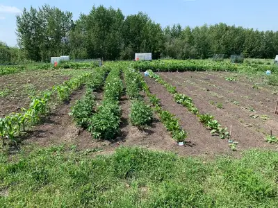 Community Garden Booking for 2026 Season, View more