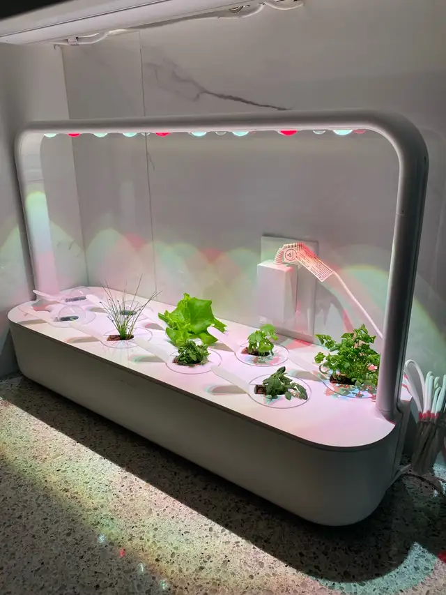 Click and Grow indoors smart garden62863284837761121
