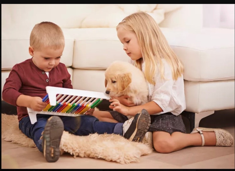 Dog sitting and dog walking and babysitting Child Care Windsor