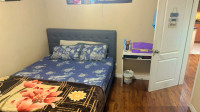 Two Room Basement for Rent in Brampton From june 2024