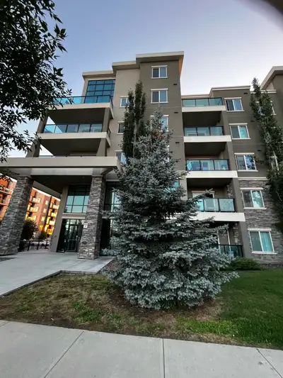 BEAUTIFUL 2 BD FULLY FURNISHED CONDO / SHORT TERM OR LONG-TERM