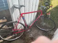 Vintage Road Bike