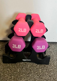 2lb & 3lb Weight Set & Holder