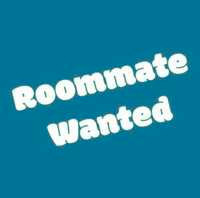Roommate wanted