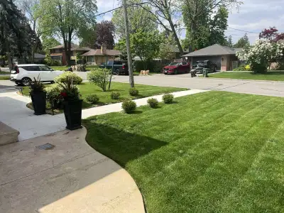 Starting price for mowing is $40 depending on lawn size and location ️Services available️: ✅One-time...