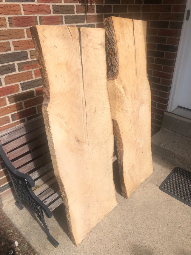 Live edge ash wood slab - 54”x20”x2” in Hobbies & Crafts in Mississauga / Peel Region - Image 2