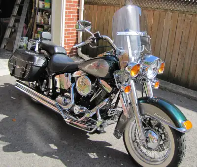 Last year Nostalgia 1993 -1996 1996 Heritage Softail Nostalgia (FLSTN) NOTE: Special Edition for tho...