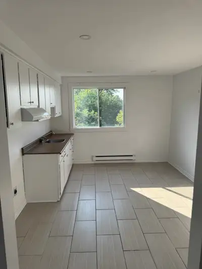 Bel apt 4 1/2, fraîchement rénové, avec grand balcon entrées laveuse et sécheuse, beau plancher au b...