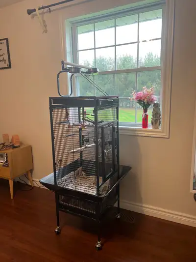 Huge bird cage, and accessories used for parrot., View more