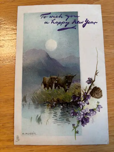 Raphael Tuck Postcard-Highland Cattle, View more