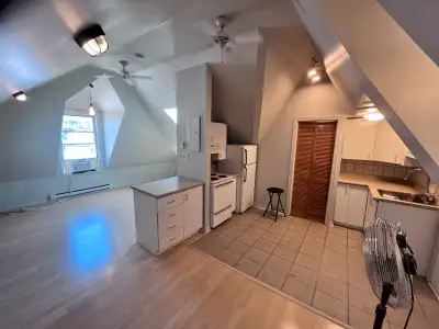 Bright studio apartment with vaulted ceiling and skylight. Close to all amenities and Ottawa. Move i...