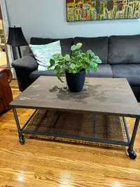 Rustic Table with Wheels