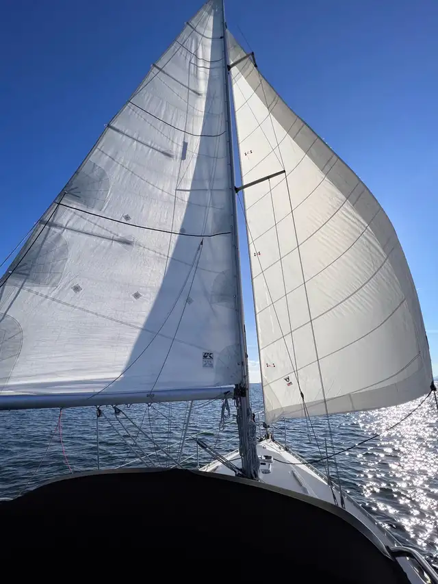 used genoa sail for 35’  sailboat in Sailboats in Victoria - Image 2