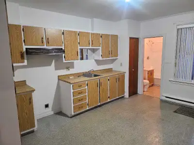 Beau logement 4 1/2 rez de chaussee, deux chambre ferme, deux balcon, remise exterieure, bien situer...