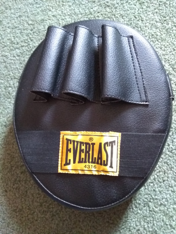 Everlast Punch Mit in Exercise Equipment in Windsor Region