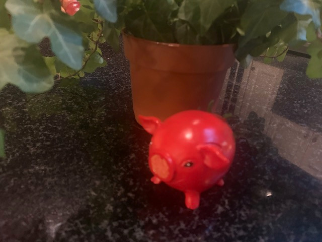 Enesco 2011 Home Grown Collection Tomato Pig Figurine RARE in Arts & Collectibles in City of Halifax - Image 2