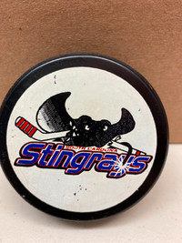 Hockey Puck - South Carolina Stingrays