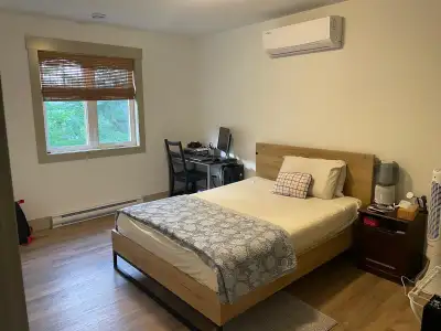 room for rent