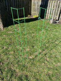 Ladder Trellis,  garden, planting 