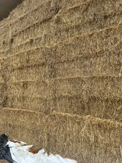 large square bales of hay, View more