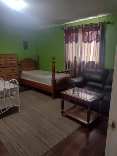 big, furnished ,spacious room walk from Georgian college Barrie