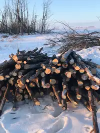 Firewood Load