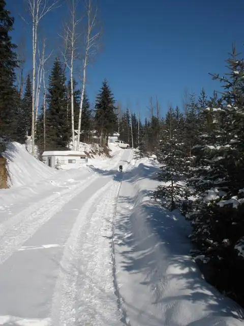10 Acre Wilderness homestead in Land for Sale in Kamloops - Image 19