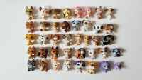 LPS dogs lot