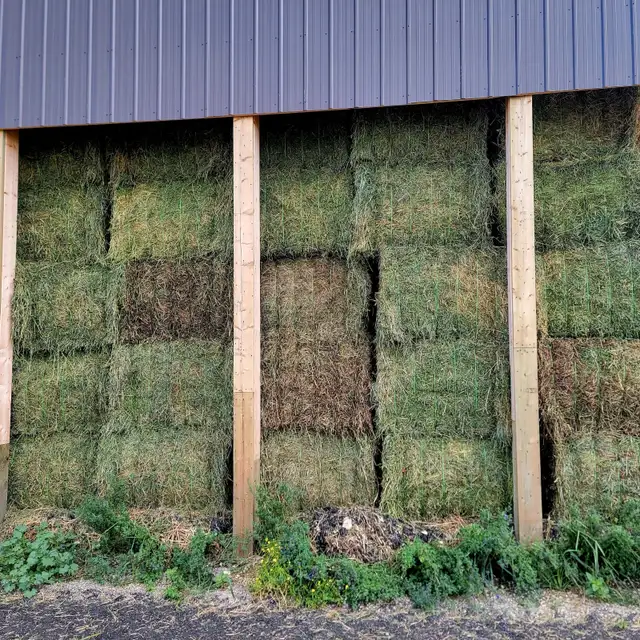 Alfalfa BIG squares in Other in Portage la Prairie - Image 2