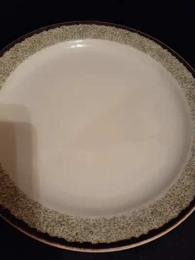 Great dining plate, durable, great quality. Retail price is : C$10 per plate. Now sell at : C$1.00 p...