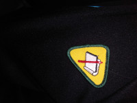 11 scout badges