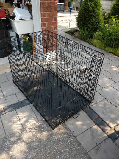 Extra large dog crate in very good condition , 32" high 30" wide 48" long , double door , please tex...