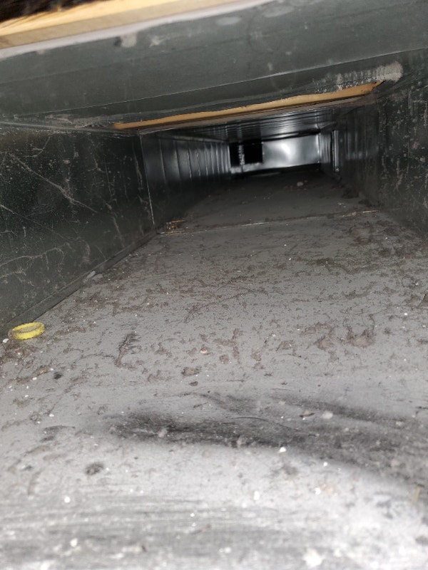 Air Duct Cleaning Special Price Cleaners & Cleaning City of Toronto