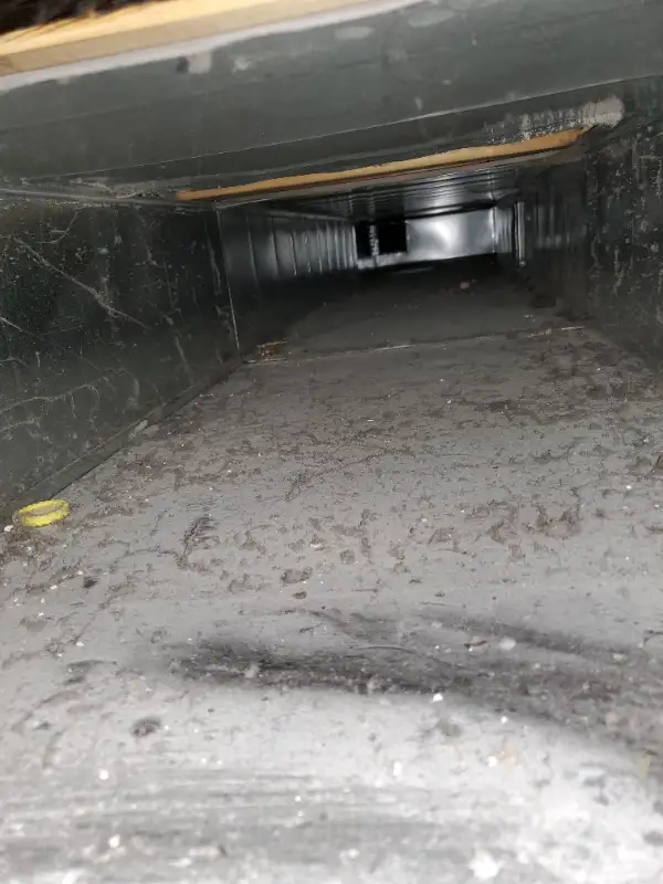 Air Duct Cleaning Special Price62863713763587123