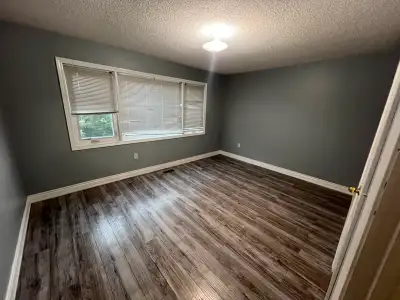 Private Room Available for Rent