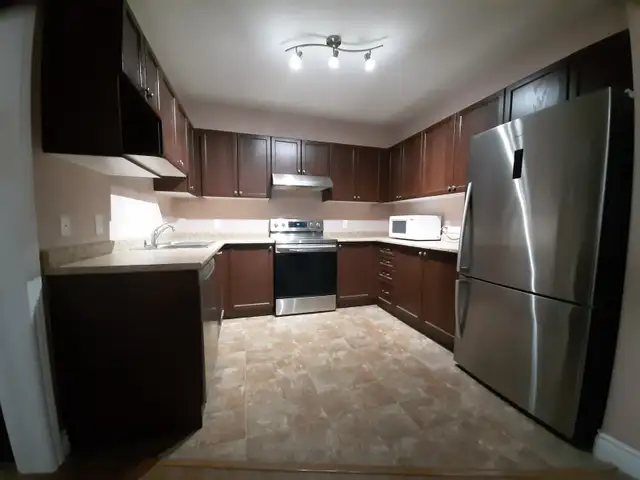 Ground Floor 1 Bedroom Apartment for Rent in Long Term Rentals in Kingston - Image 8