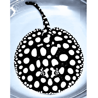 Live fish (Super White Cross Stingray / Black Diamond Stingray), View more