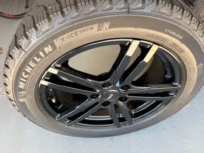 Almost new Michelin Ice Snow Tires 225 50R 17 and alloy rims. Purchased last fall and used on a 2023...