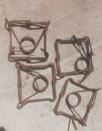 Old traps 2-large/4 small