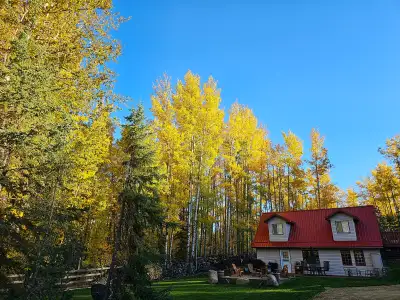 Lake cabin, 4 season, 3 bedroom, 1 full bath, laundry room, large den, security system with cameras,...
