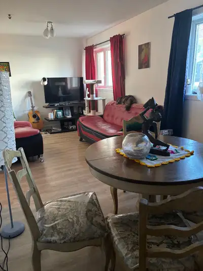 Studio, Coopérative 55 ans ou plus